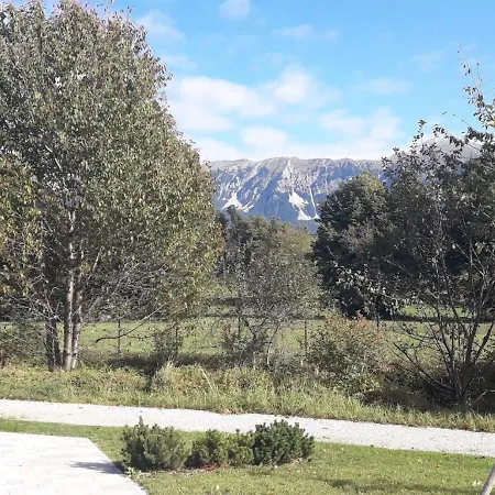 Alpine View 아파트