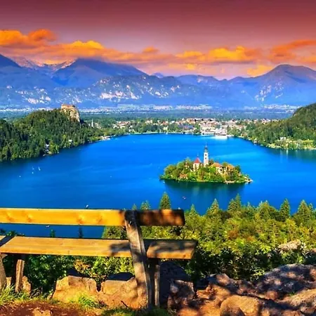 Alpine View *